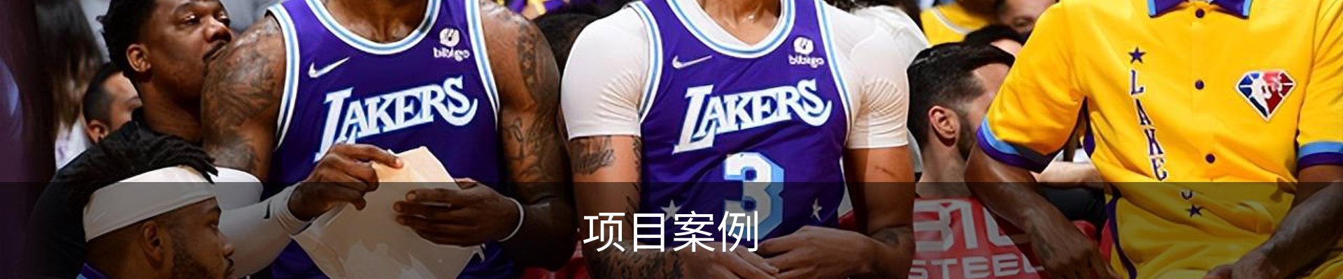 项目案例